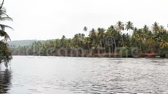 热带河流视频的预览图
