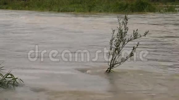 河堤决堤浑水视频的预览图