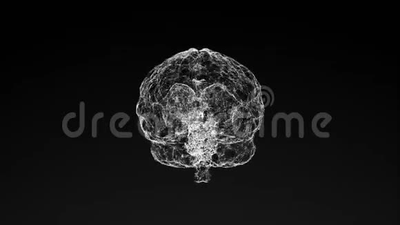在黑色背景下旋转人脑4k视频视频的预览图
