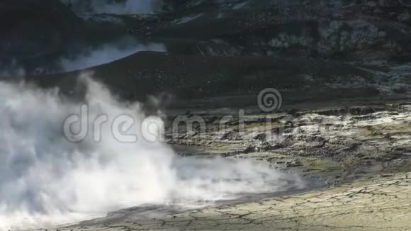 新西兰白岛山区的间歇泉视频的预览图
