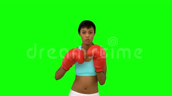 漂亮的模特戴着红色手套拳击视频的预览图