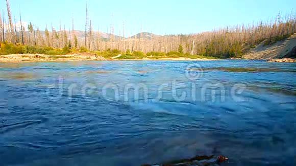 蒙大拿州北叉平头河视频的预览图