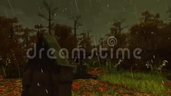 秋雨夜旧墓碑4K视频的预览图