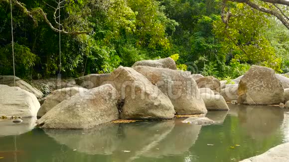 有岩石的雨林和河流的景色热带森林深处快石溪上长满树木的丛林视频的预览图