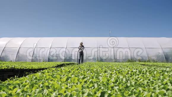 漂亮的农民在温室附近的田野上灌溉绿色的幼苗视频的预览图