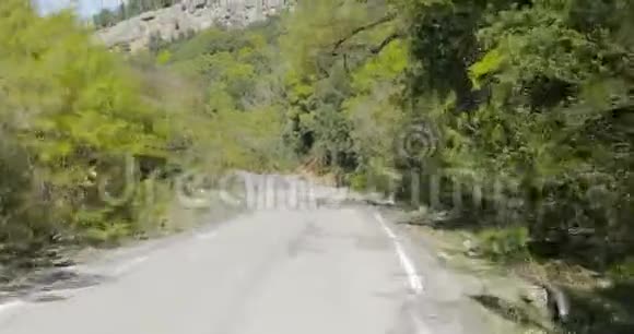 森林道路的景色视频的预览图