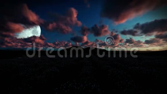 在美丽的早晨与半月亮的薰衣草花海视频的预览图
