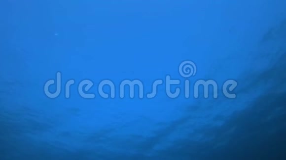 蓝色水面的背景视频的预览图