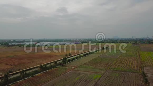 马来西亚AlorSetar稻田美景视频的预览图