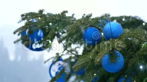 圣诞节冰冻的树枝冬天视频的预览图