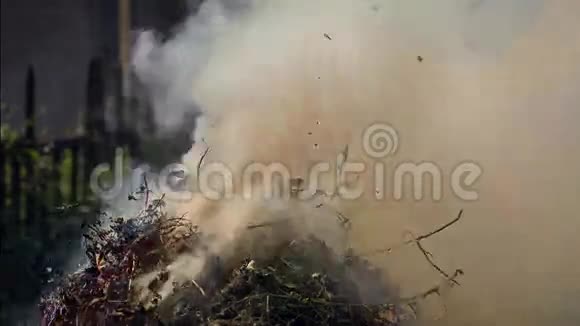 燃烧垃圾的烟雾视频的预览图