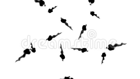 头顶的黑色墨水流形成星星墨水在白色上缓慢地注入或吹烟在水中的彩云视频的预览图
