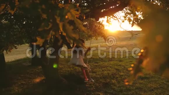 在公园日落时孩子们骑着绳子在橡树枝上摇摆女孩笑高兴年轻女孩在秋千上荡秋千视频的预览图