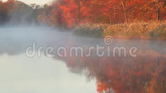 初秋的雾在河上视频的预览图