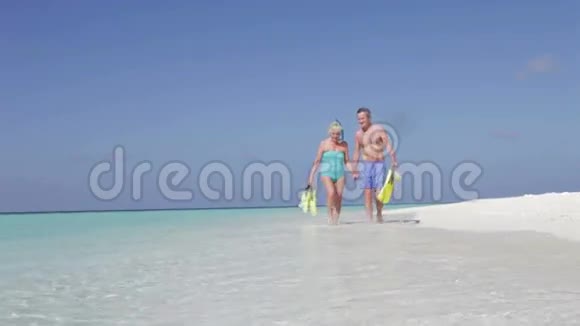 高级夫妇与蛇享受海滩假日视频的预览图