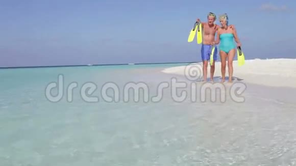 高级夫妇与蛇享受海滩假日视频的预览图