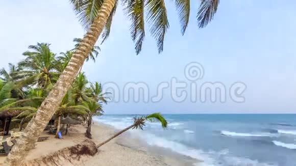 美丽的热带海滩有棕榈树视频的预览图