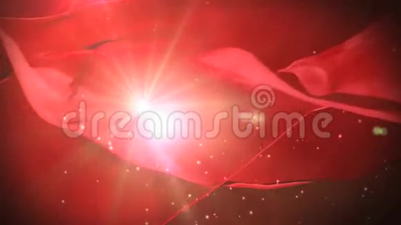 红色背景与星星视频的预览图