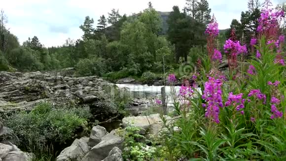 劳马河奥普兰挪威视频的预览图