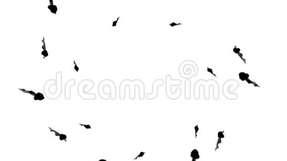 头顶的黑色墨水流形成星星墨水在白色上缓慢地注入或吹烟水中的黑色云视频的预览图