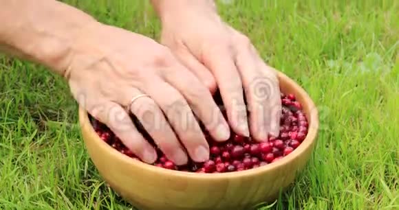 秋天的背景有红色的浆果和草篮子里的浆果视频的预览图