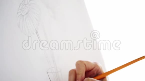 艺术家用铅笔画纸上的静物视频的预览图