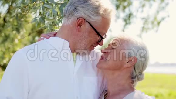 快乐的老两口在夏日公园拥抱视频的预览图