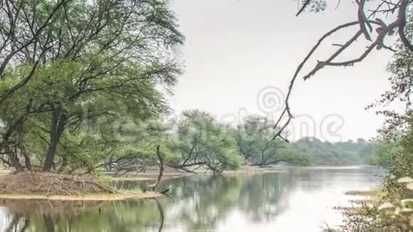 印度基奥拉多国家公园美丽的湖泊视频的预览图