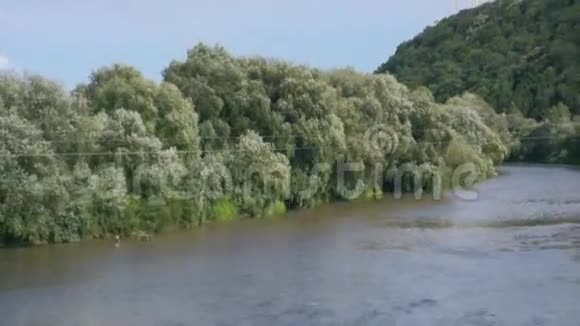 河流和森林视频的预览图