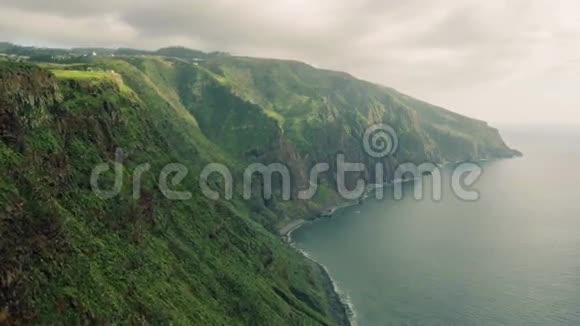 鸟瞰常青悬崖海岸线视频的预览图