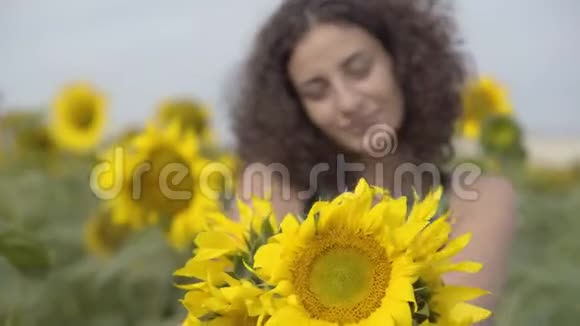 卷曲嬉戏的女人看着镜头微笑地站在向日葵田野上的肖像明亮的黄色这就是视频的预览图