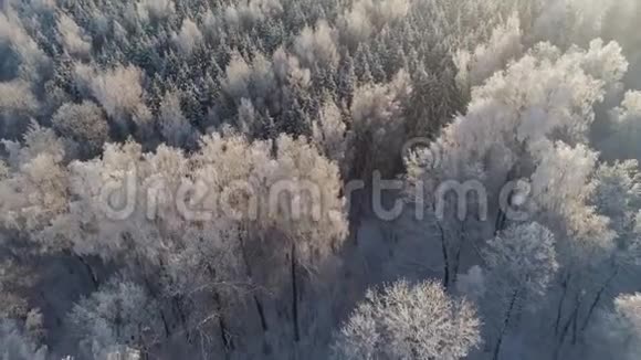 乡村的冬季景观视频的预览图