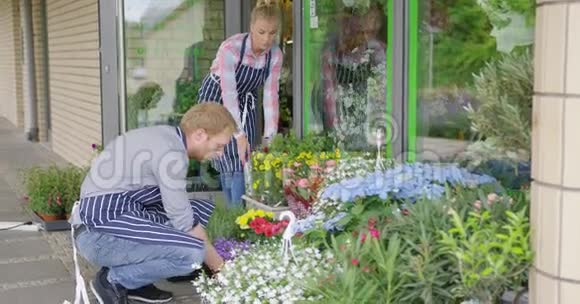 花店里的工人视频的预览图