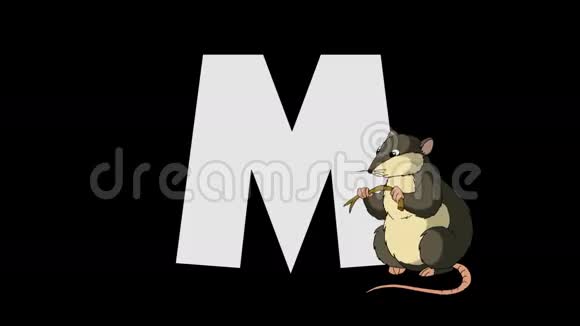 字母M和鼠标前景视频的预览图