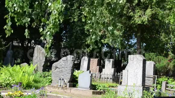 格雷维斯顿树公墓视频的预览图