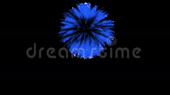 色彩斑斓的单根烟火在夜晚壮观的单一烟花3D渲染蓝色版本45视频的预览图