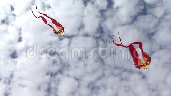 风筝在天空中飞翔视频的预览图