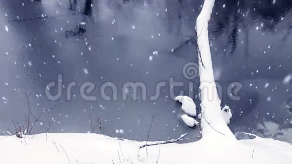 圣诞节冬季背景景观视频的预览图