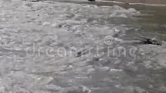 泰国的河流流过岩石视频的预览图