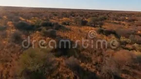 纳米比亚大草原的全景和日落时的天空视频的预览图