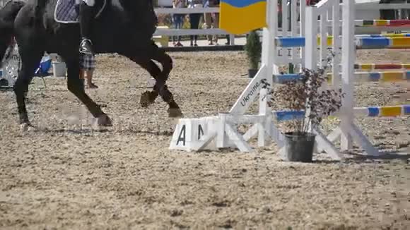 在体育比赛中马跑跳通过一个障碍紧起马足疾驰专业骑师骑马视频的预览图