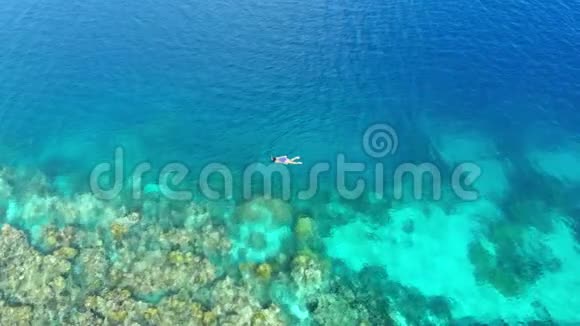 空中女性在珊瑚礁热带加勒比海浮潜视频的预览图