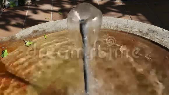 水从一个小喷泉里涌出特写视频的预览图
