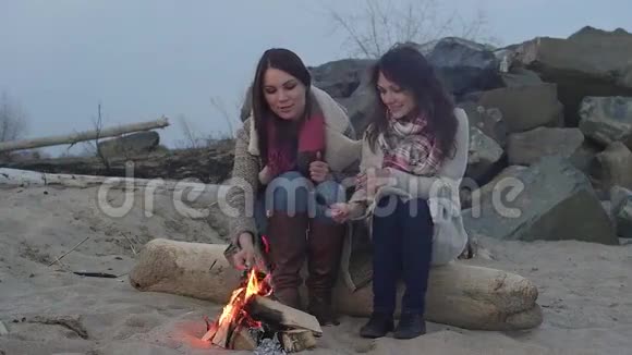 两个女人坐在火边烧烤野餐视频的预览图