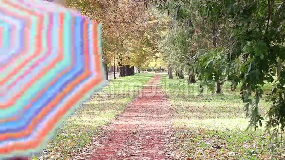 带着雨伞在公园散步的孩子视频的预览图