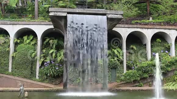 马德拉热带花园的瀑布视频的预览图