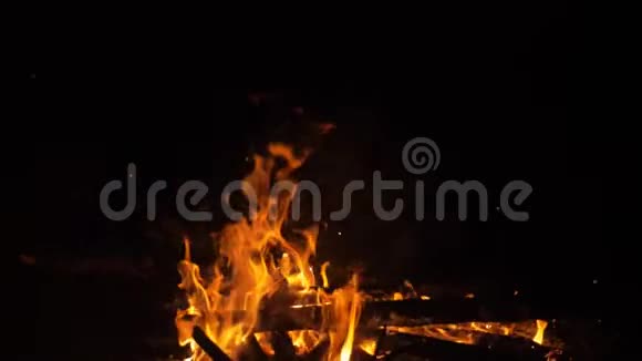 在大自然中燃烧从火里出来视频的预览图