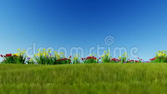 蓝天上绿色草地上的复活节彩蛋镶面LumaMatte视频的预览图