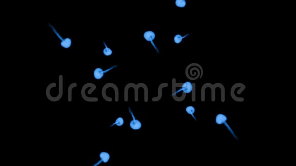 荧光蓝墨水或烟雾形成恒星在黑色上缓慢地分离蓝色的水粉倒在水里使用墨水视频的预览图
