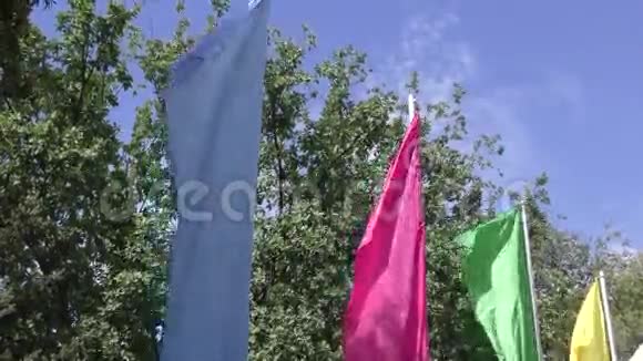 彩旗在风中摇曳视频的预览图